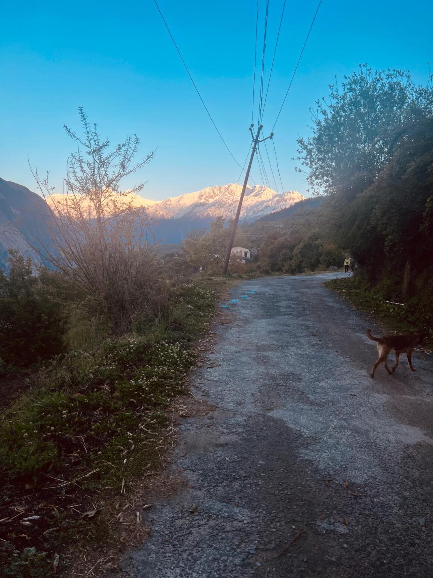 Faraway Cottages, Auli Joshīmath Εξωτερικό φωτογραφία