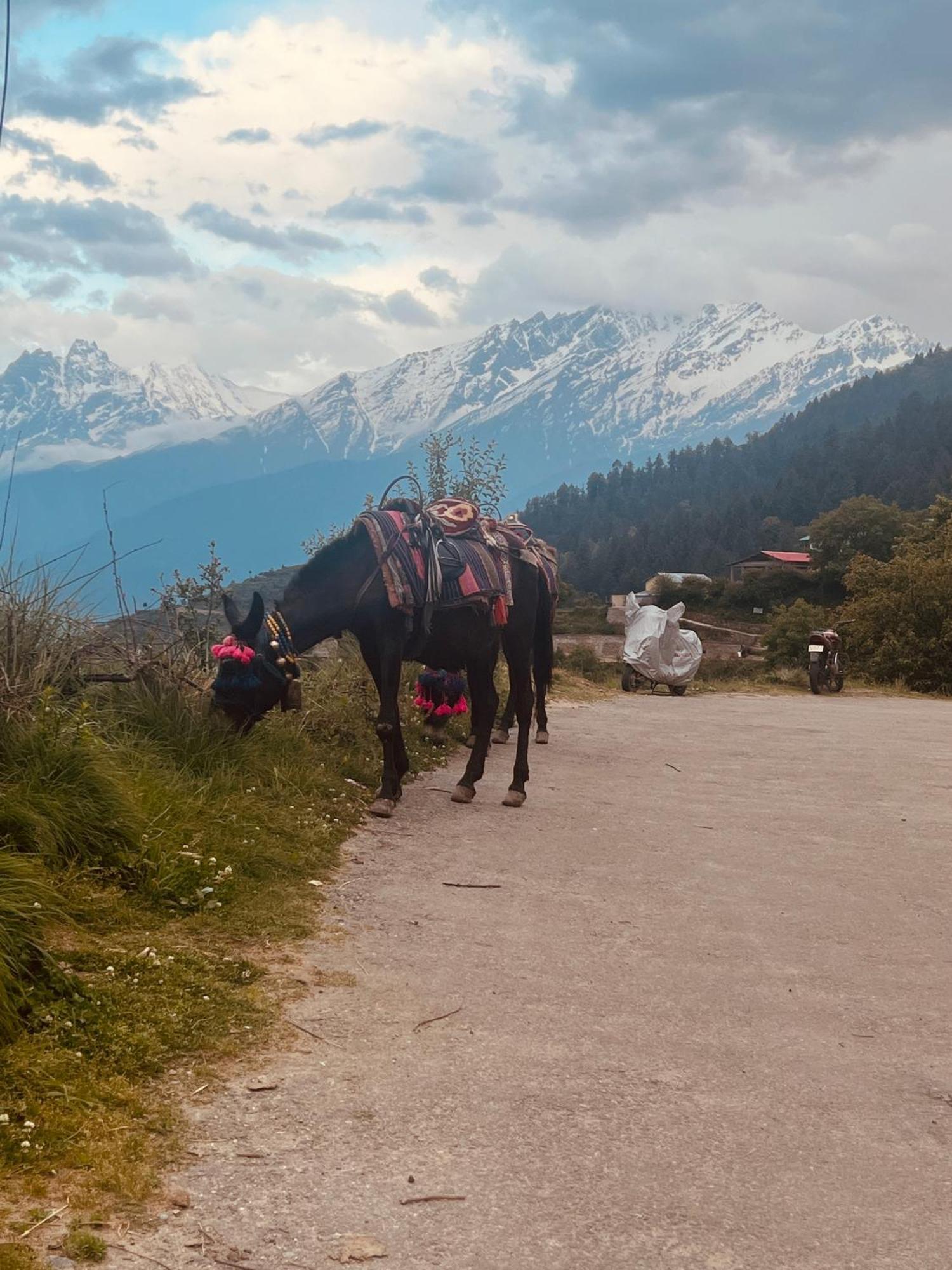 Faraway Cottages, Auli Joshīmath Εξωτερικό φωτογραφία