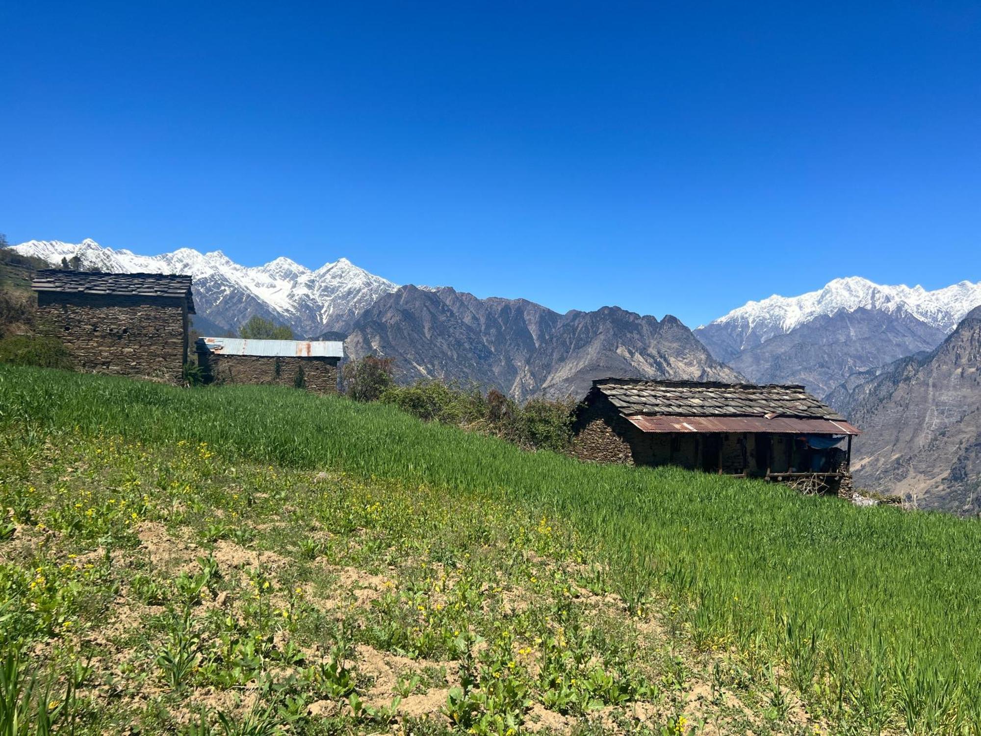 Faraway Cottages, Auli Joshīmath Εξωτερικό φωτογραφία