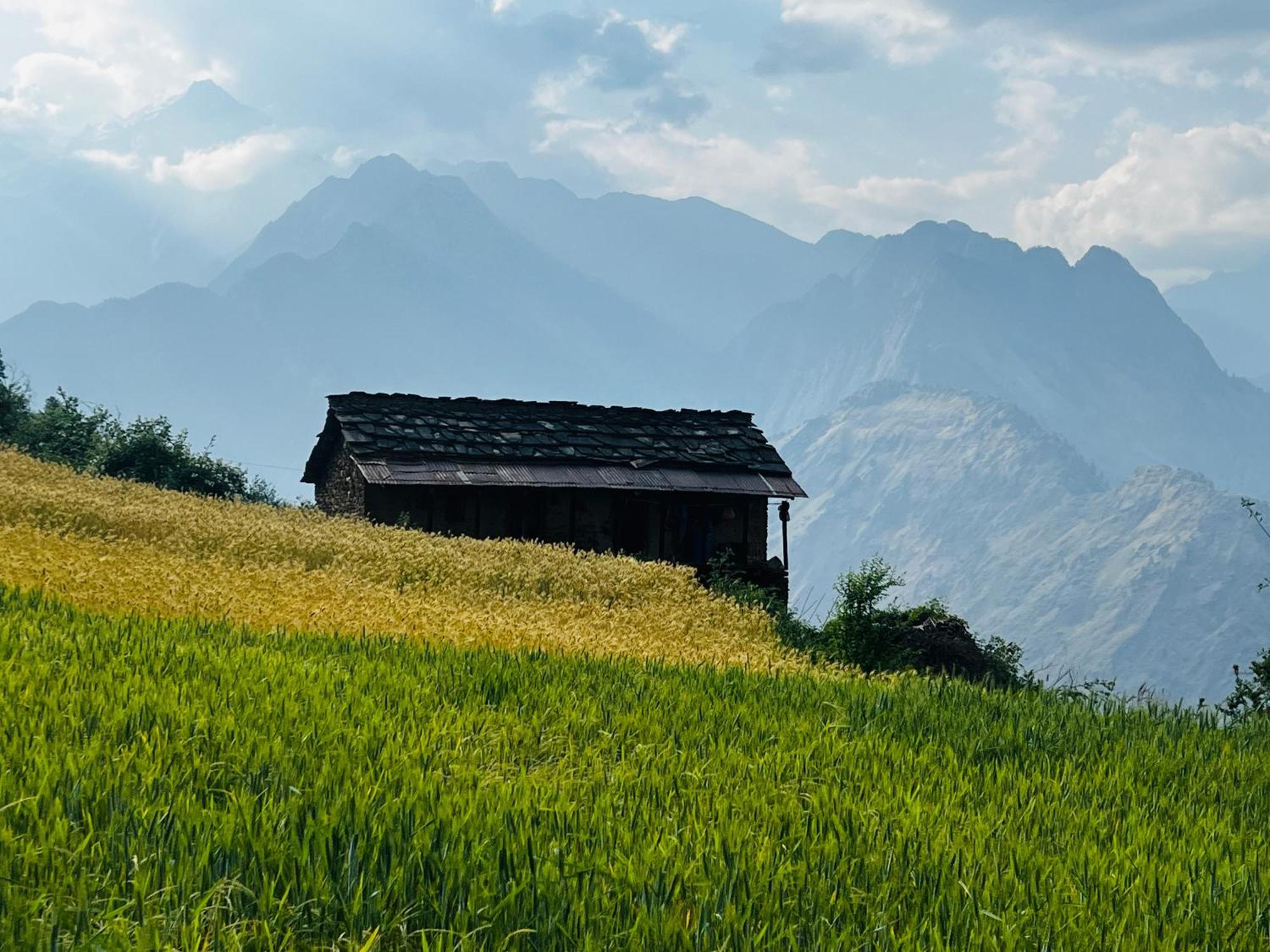 Faraway Cottages, Auli Joshīmath Εξωτερικό φωτογραφία